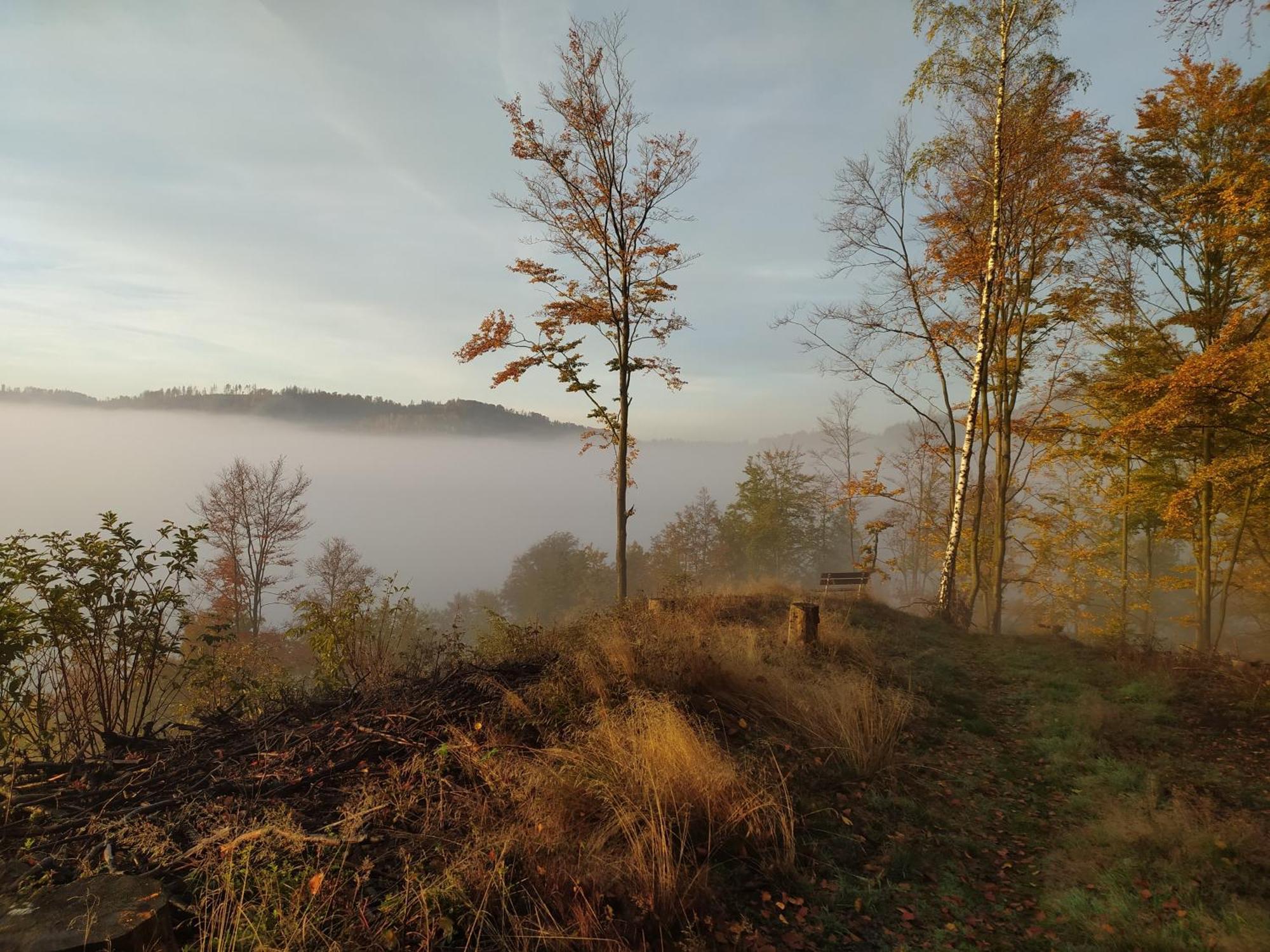 Ferienwohnung Steinachblick Steinach  Exteriér fotografie